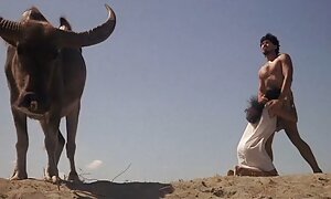 في فلم سكسي يوناني سن المراهقة العرب تريد أن تتصرف في فيلم إباحي فيديو إباحي 